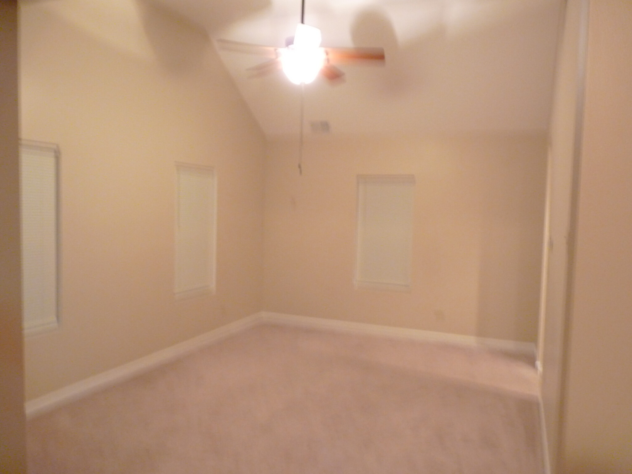 Living Room w/Cathedral Ceiling - 1236 S Washington St