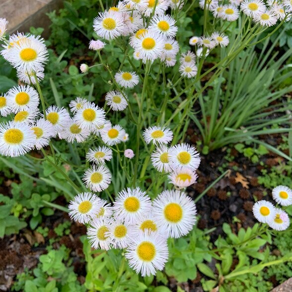 Building Photo - 5208 Heming Ave