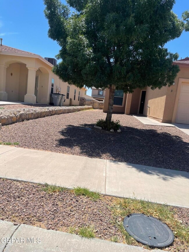 Building Photo - 14306 Arthur Ashe Ct