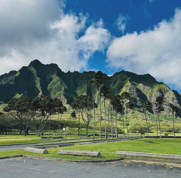 Building Photo - 157 Kamehameha Hwy