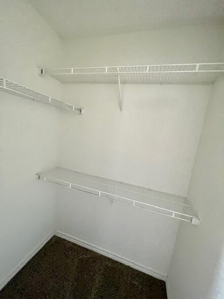 Building Photo - 2527 Pascal Ct
