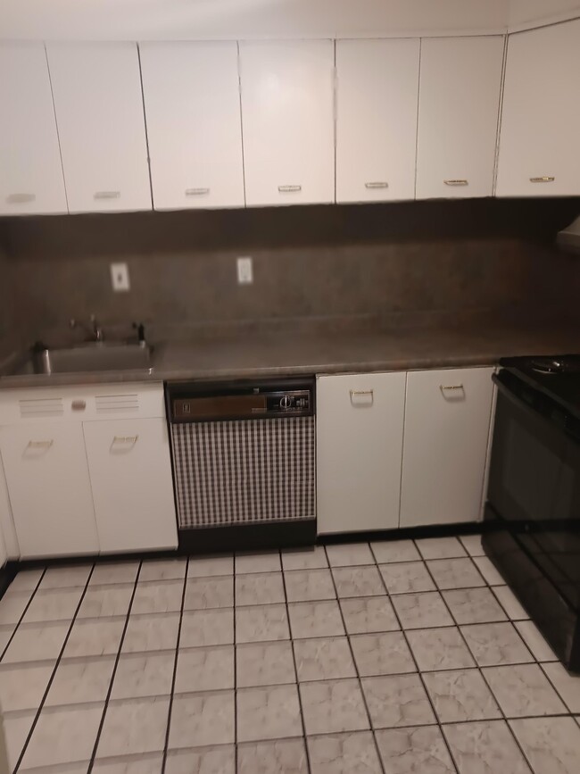 Kitchen (and Dishwasher) - 101 Mulberry St