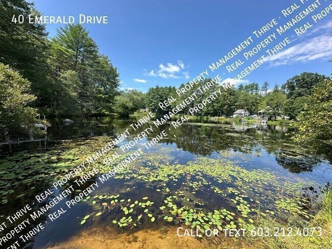 Building Photo - 40 Emerald Dr