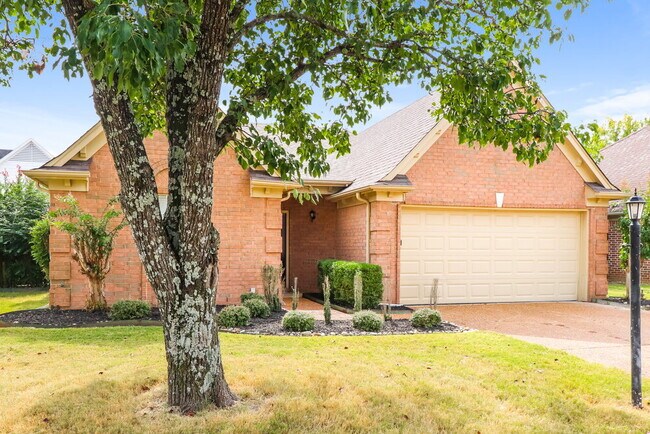 Building Photo - 10029 Woodland Grove Dr