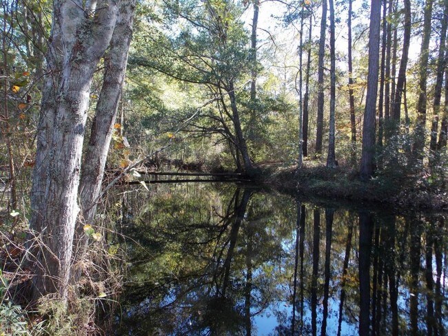 Building Photo - 110 Lakeview Commons Rd