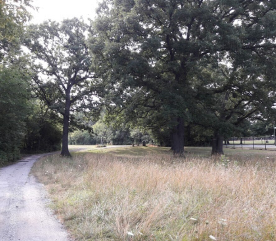 Stroll down the block and take in nature - 6116 N Meade Ave