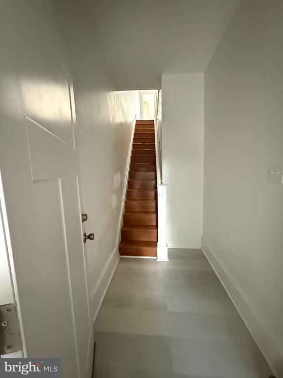 Building Photo - 331 Maclay St