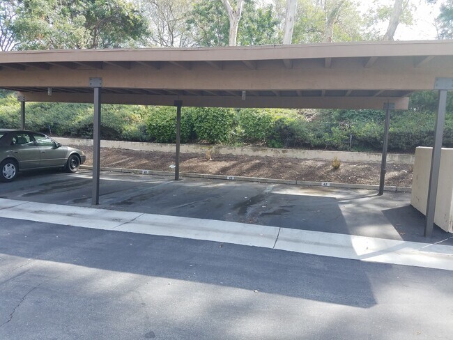 Building Photo - 1 BED/ 1 BATH CONDO