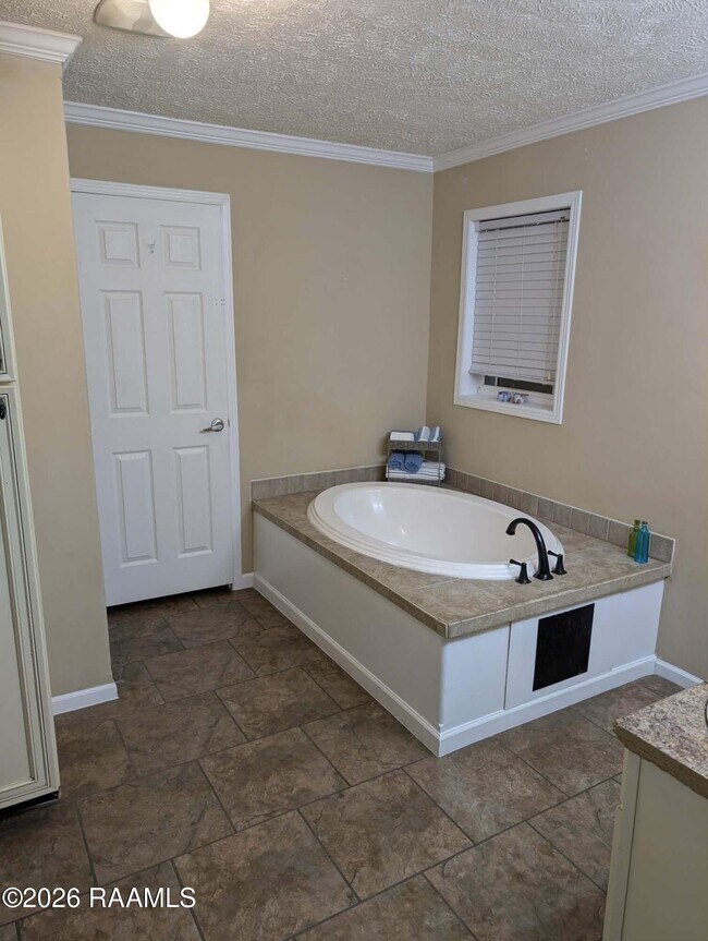 Building Photo - 206 Windcreek Ln