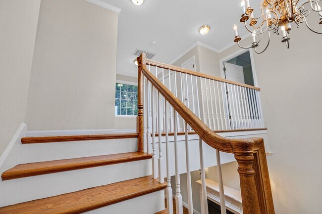 Building Photo - Stunning San Carlos 5 bedroom 4 bathroom H...