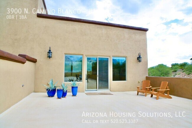 Building Photo - 3900 N Camino Blanco