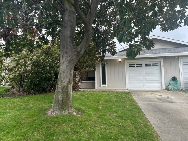 Building Photo - 2 Bedroom 2 Bathroom Updated Duplex with Y...