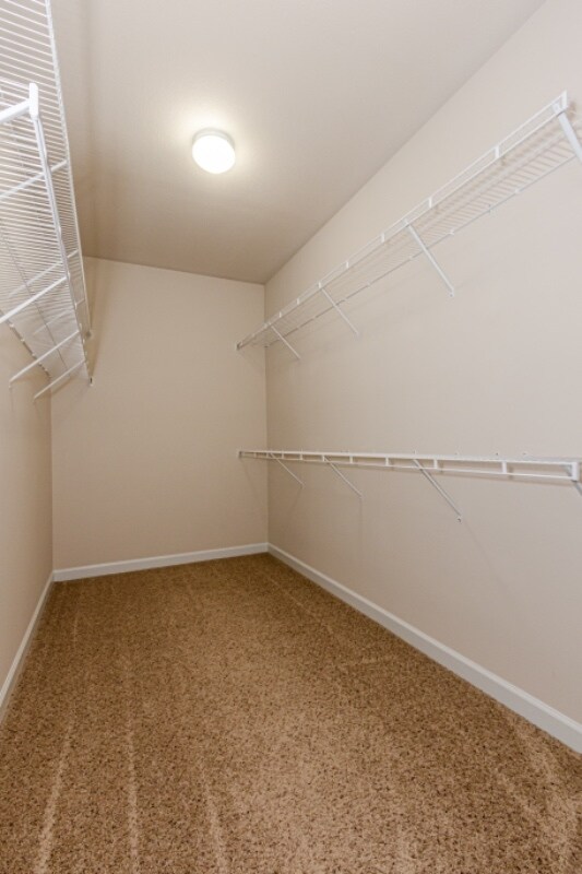 Building Photo - 500 Caldwell Loop