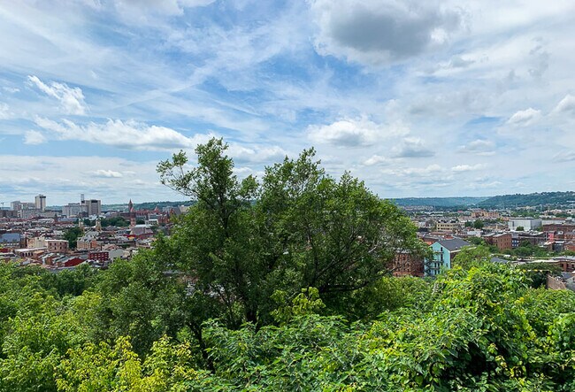 Building Photo - 61 Mulberry St