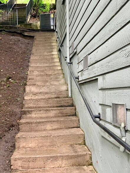 Building Photo - 2401 Birch Ln