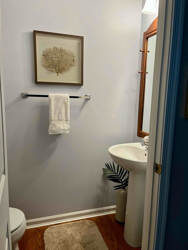 Building Photo - 595 Coach Hill Ct