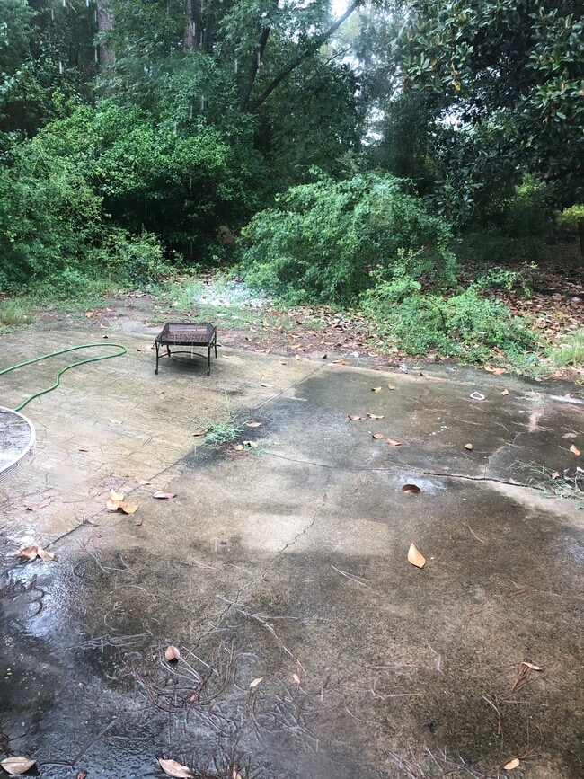 Building Photo - 300 Catherine Ave