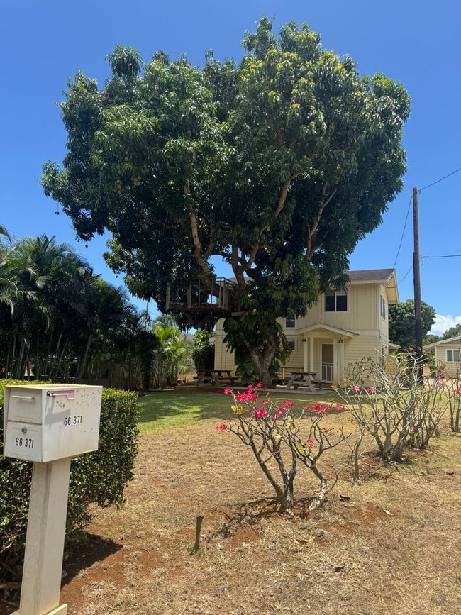 Building Photo - Newly Renovated 3/3 Home in Waialua