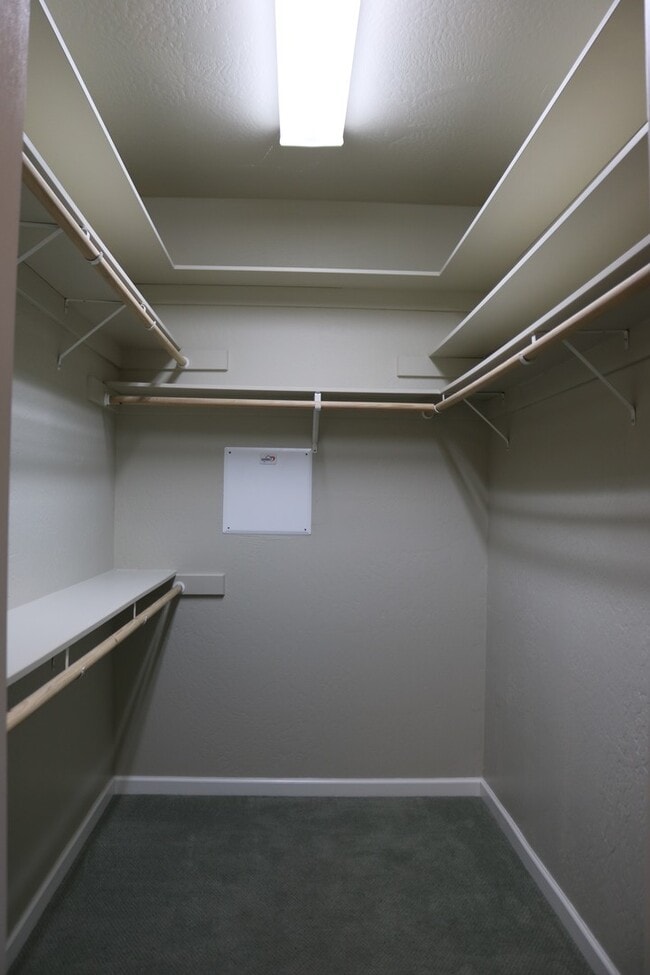 Building Photo - Gorgeous, spacious 3/2.5 with garage and office