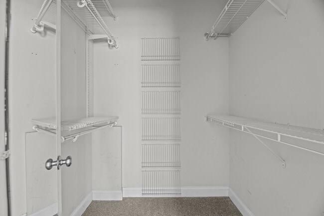 Building Photo - 109 Tupelo Trail