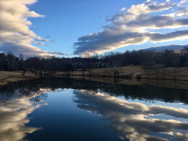 Building Photo - Lake Vista Apartment-Stunning Views