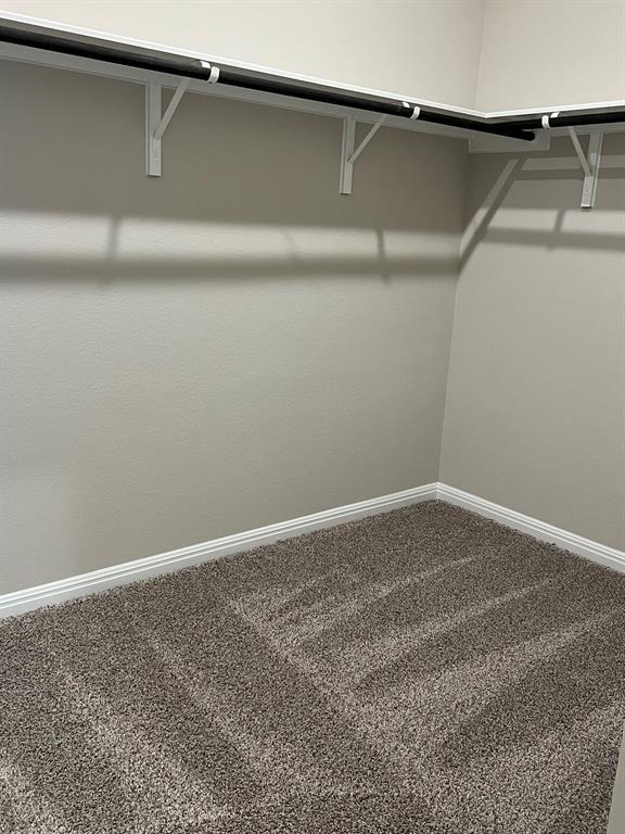 Building Photo - 161 Granite Dome Dr