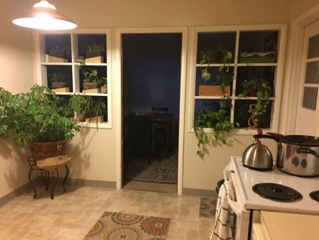 Building Photo - Classic Northgate Rambler