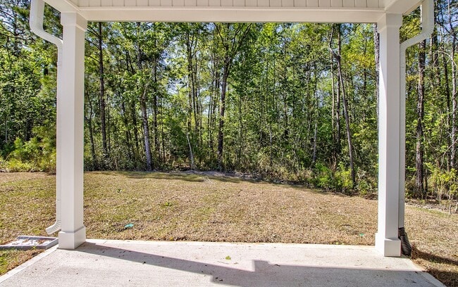 Building Photo - Newly Built Home for Rent in Parsons Mill!...