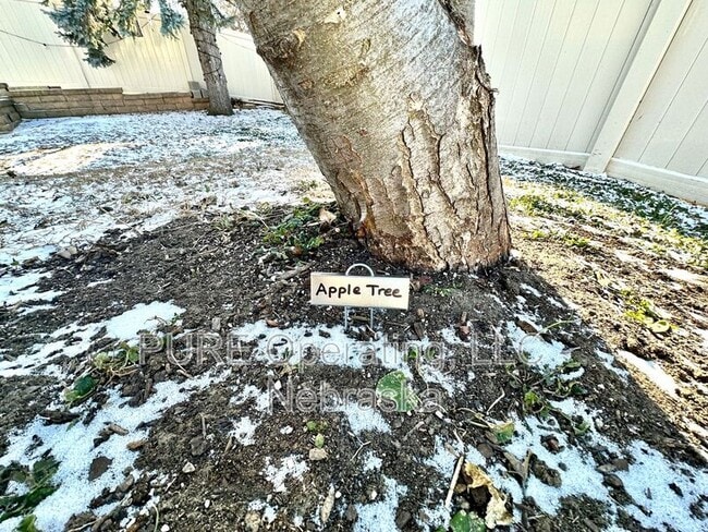 Building Photo - 1024 N 74th Ave