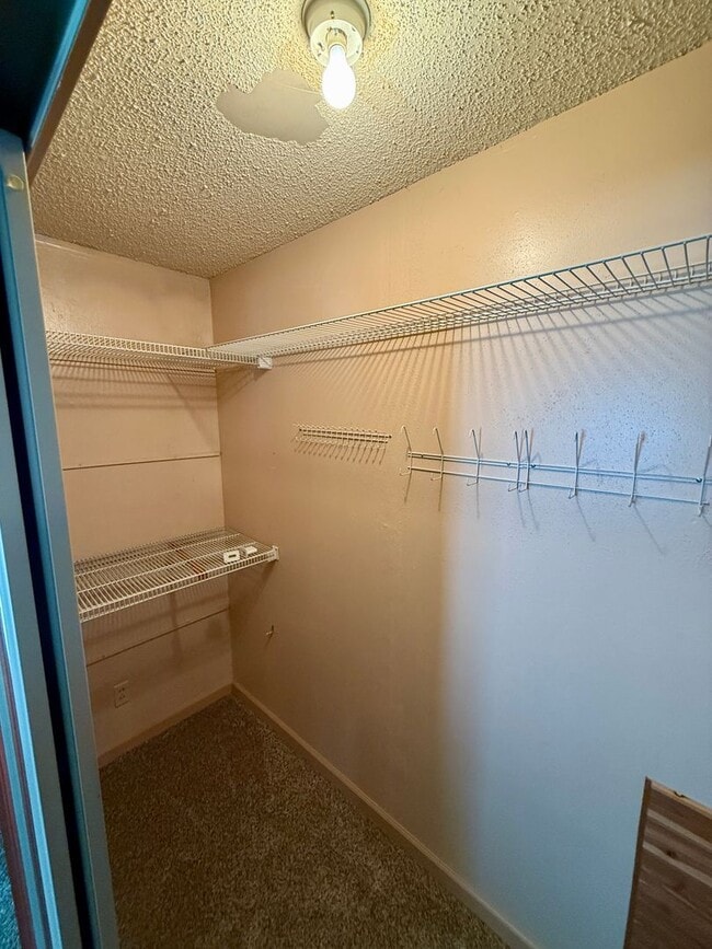 Building Photo - 2 Bed / 1 Bath House with lots of Features...