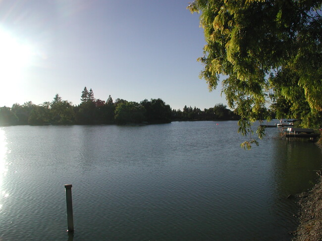 Lake VIew from HOA Common Area - 732 Lake Terrace Cir