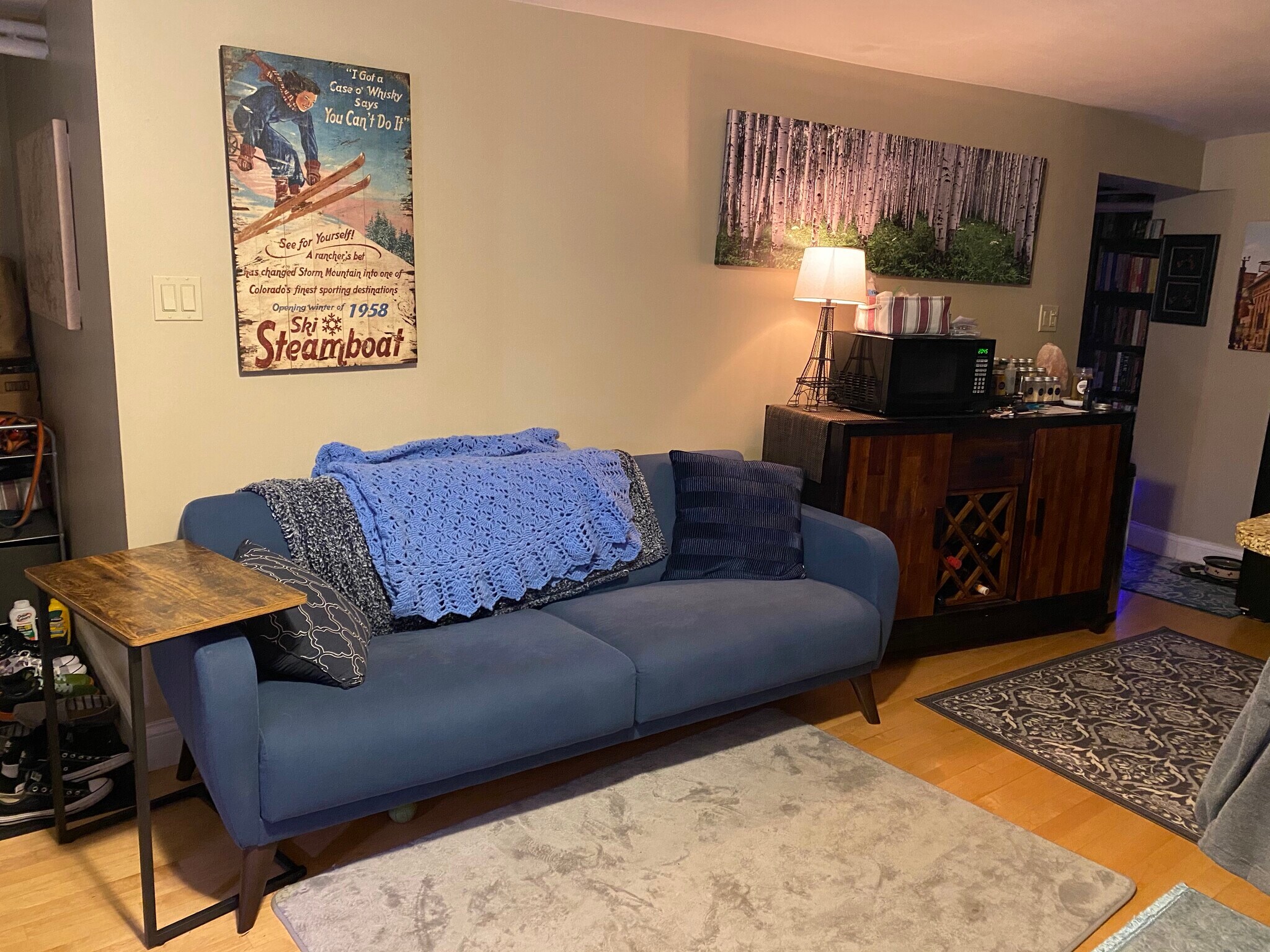 Living Room - 1419 W Balmoral Ave