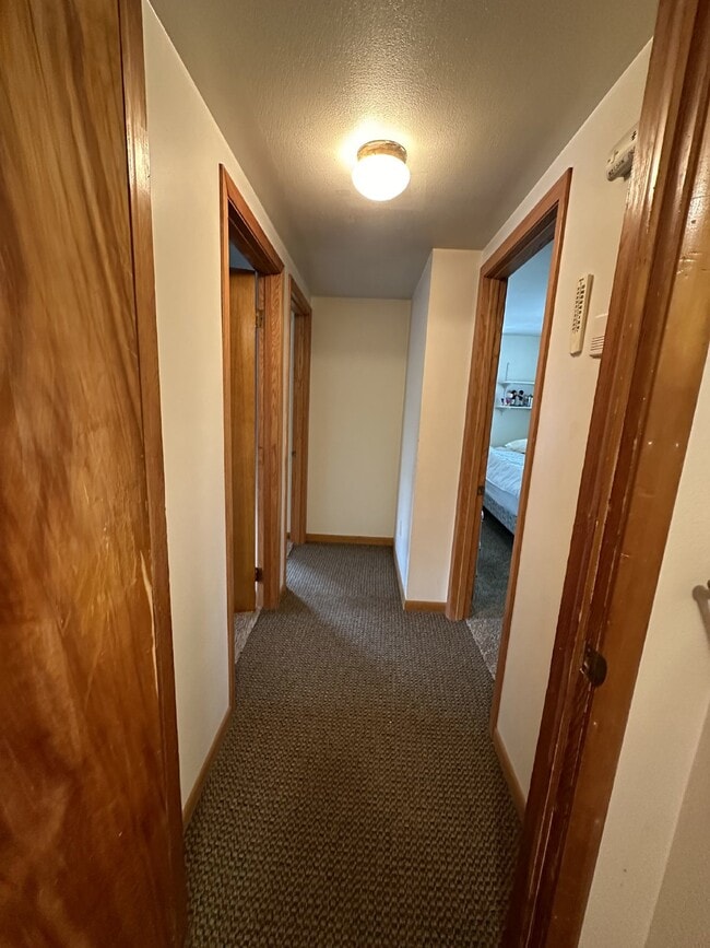 Building Photo - Exciting 3 Bed 1 Bath close to UWEC!