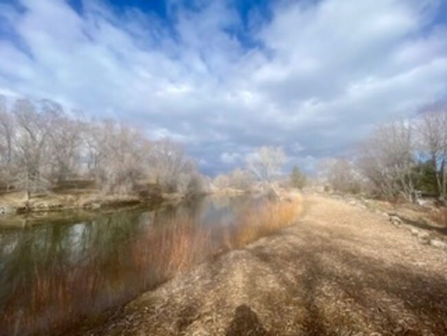 Building Photo - Three Bedroom Two and a Half Bath Home in the South Reno Crystal Lake Area