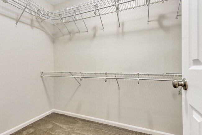 Building Photo - 114 Egrets Way Ln