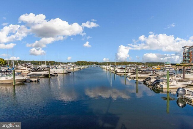 Building Photo - 642 Belmont Bay Dr