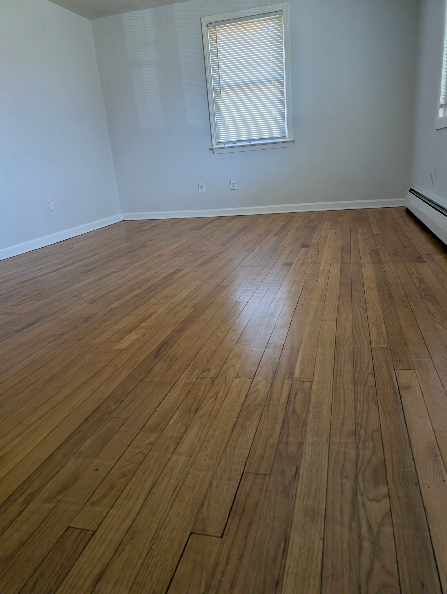 Building Photo - 87 Antrim St