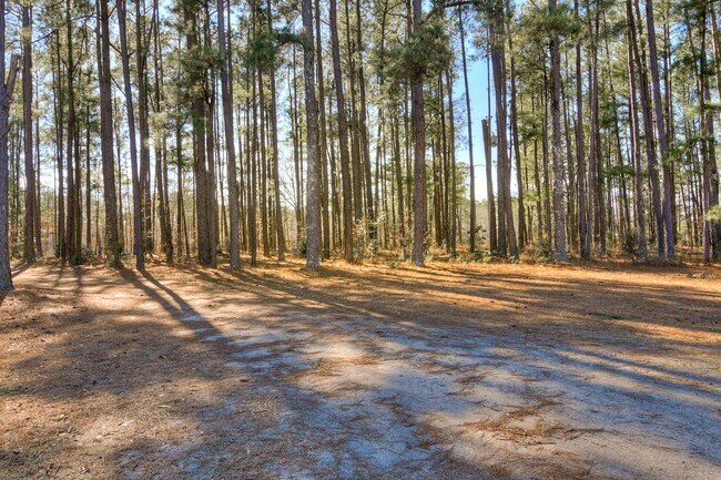Building Photo - Large House on 3.5 Acres in Harlem