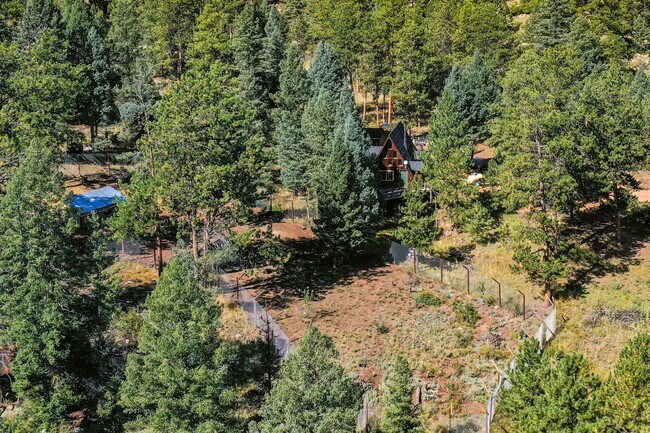 Building Photo - Backcountry Living