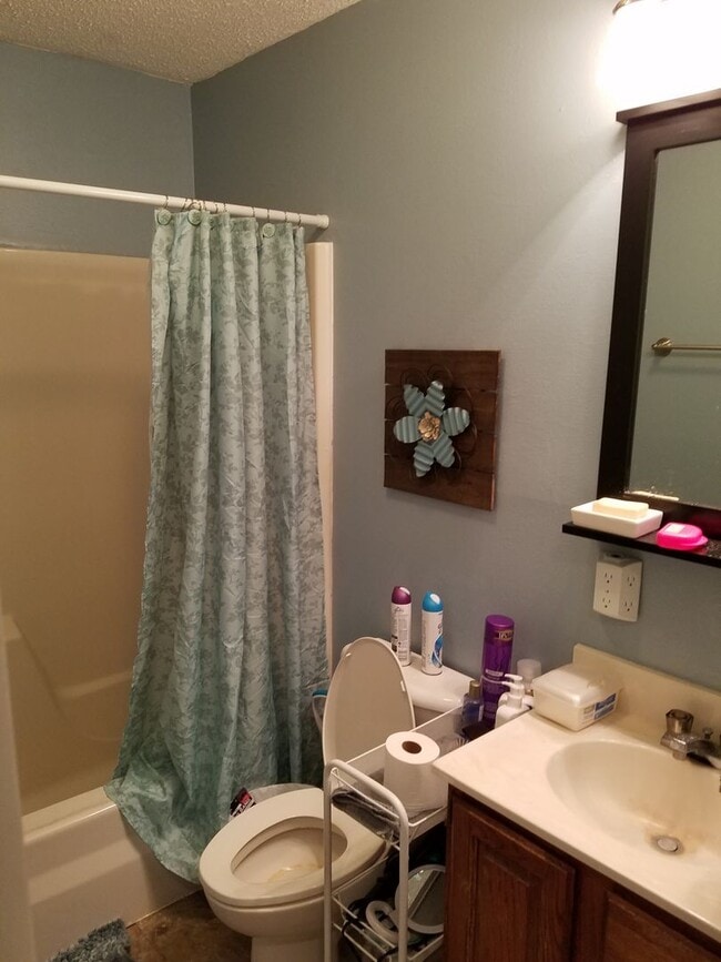 Building Photo - Cedar Falls House Available June 1st