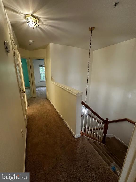 Building Photo - 12921 Woodcutter Cir