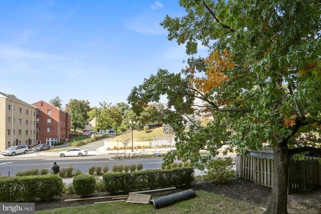 Building Photo - 5300 Columbia Pike