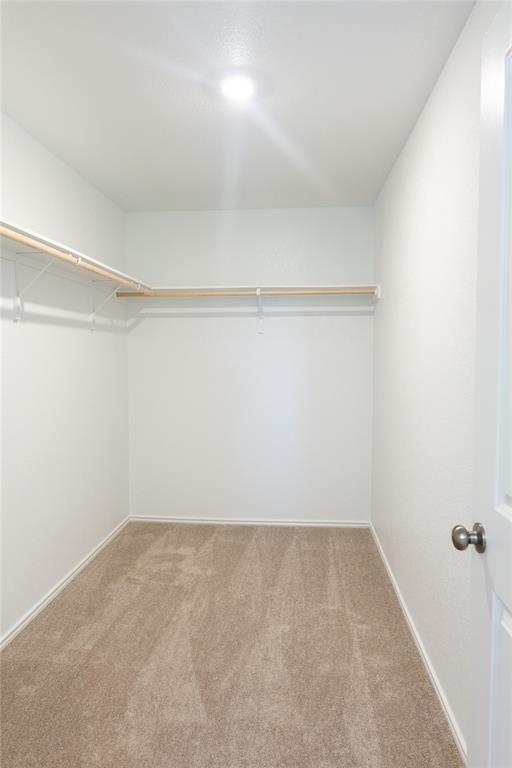 Building Photo - 153 Sormonne Lp