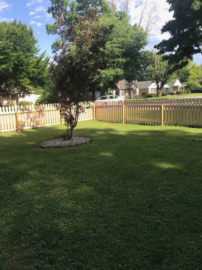 Front yard (view from front door) - 5896 Brouse Ave