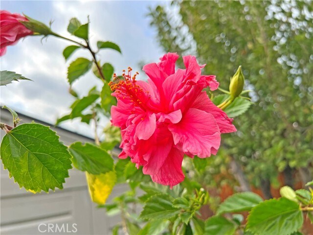 Building Photo - 3320 Campus Ave