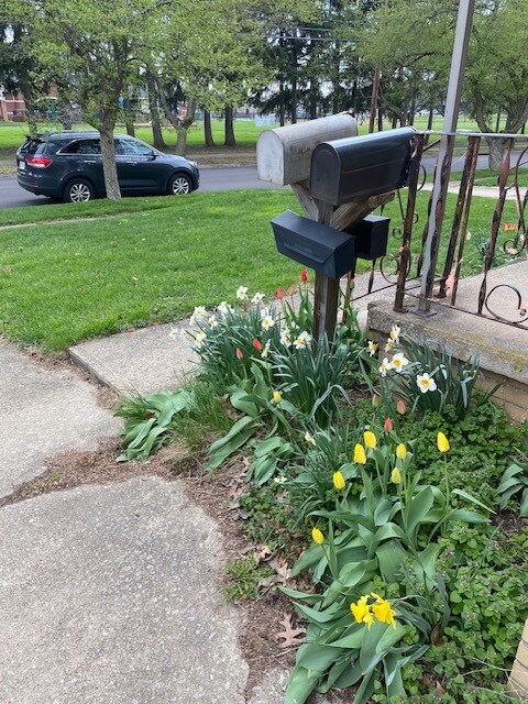 Building Photo - 1713 Shatto Ave