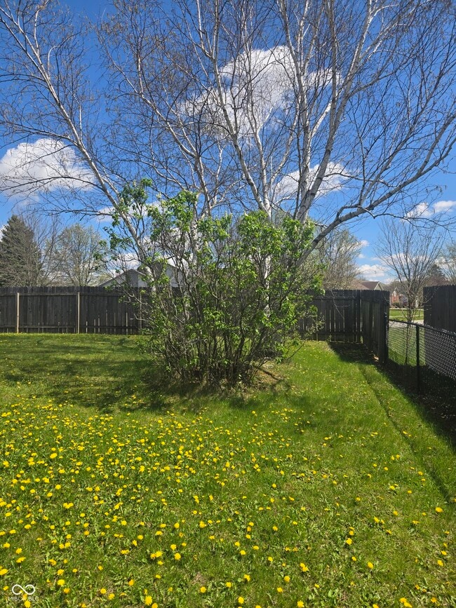 Building Photo - 5565 Allison Way