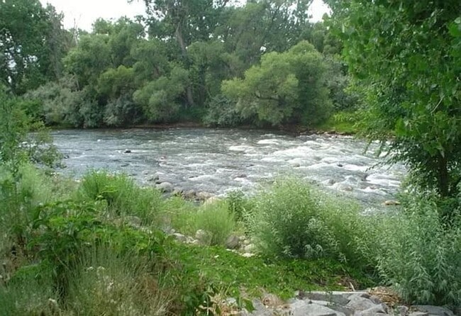 Building Photo - LOCATION - LOCATION - LOCATION - RIVER VIEWS