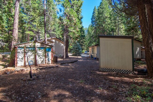 Building Photo - Furnished Shingletown Home with Horse Corr...