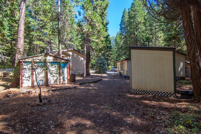 Building Photo - Furnished Shingletown Home with Horse Corral, Huge Fenced Back Yard and Chicken Coop!